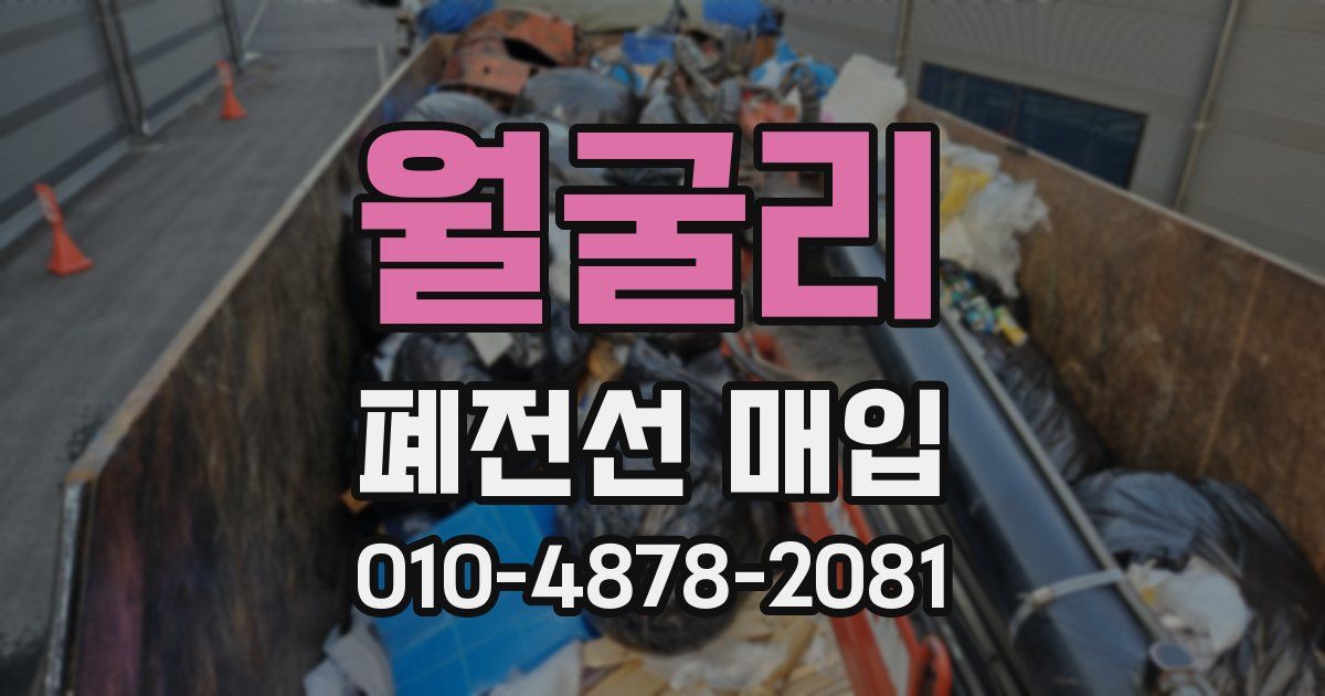 월굴리 폐전선 매입
