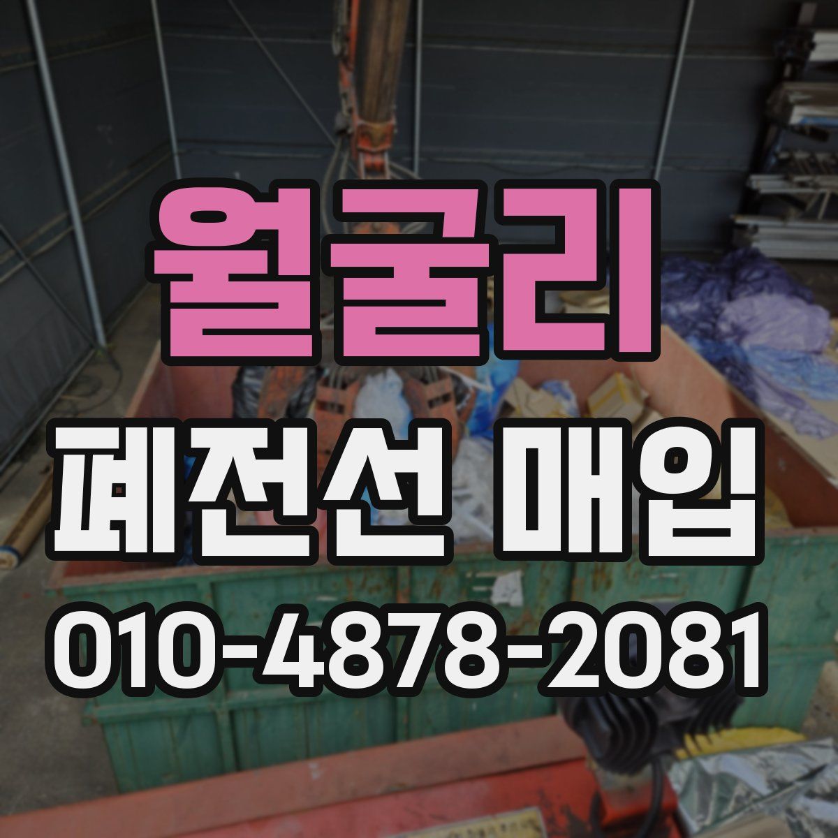 월굴리 폐전선 매입