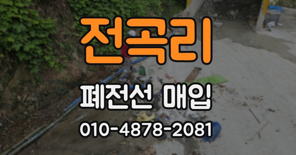 전곡리 폐전선 매입