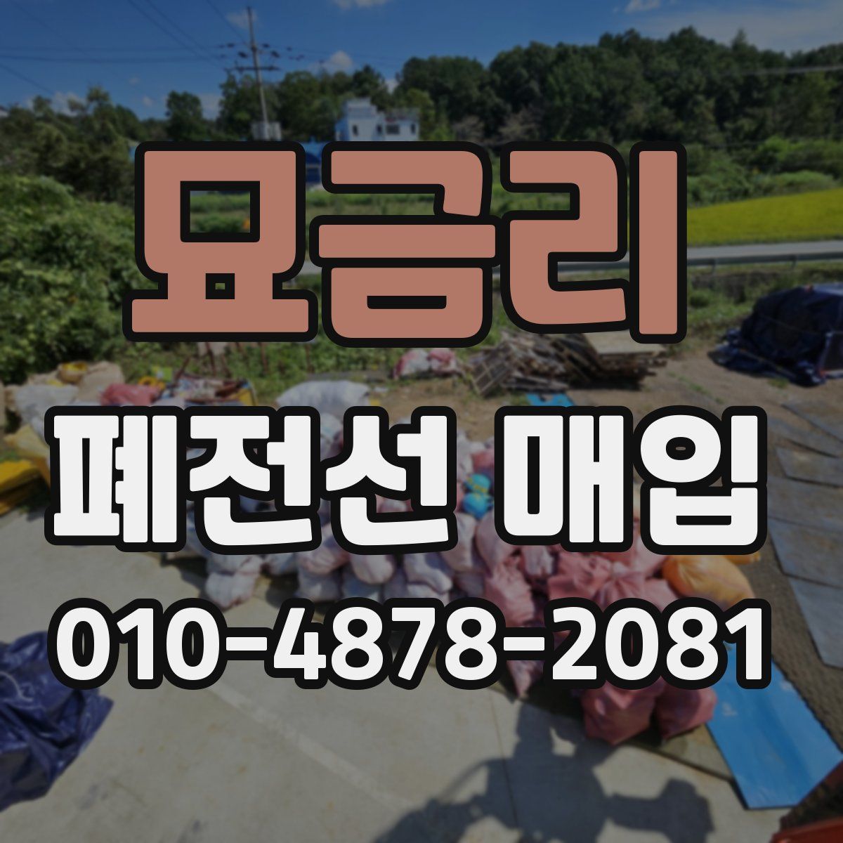 묘금리 폐전선 매입