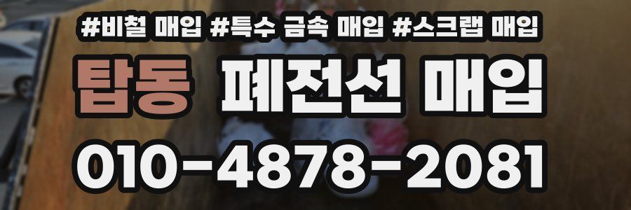 탑동 폐전선 매입
