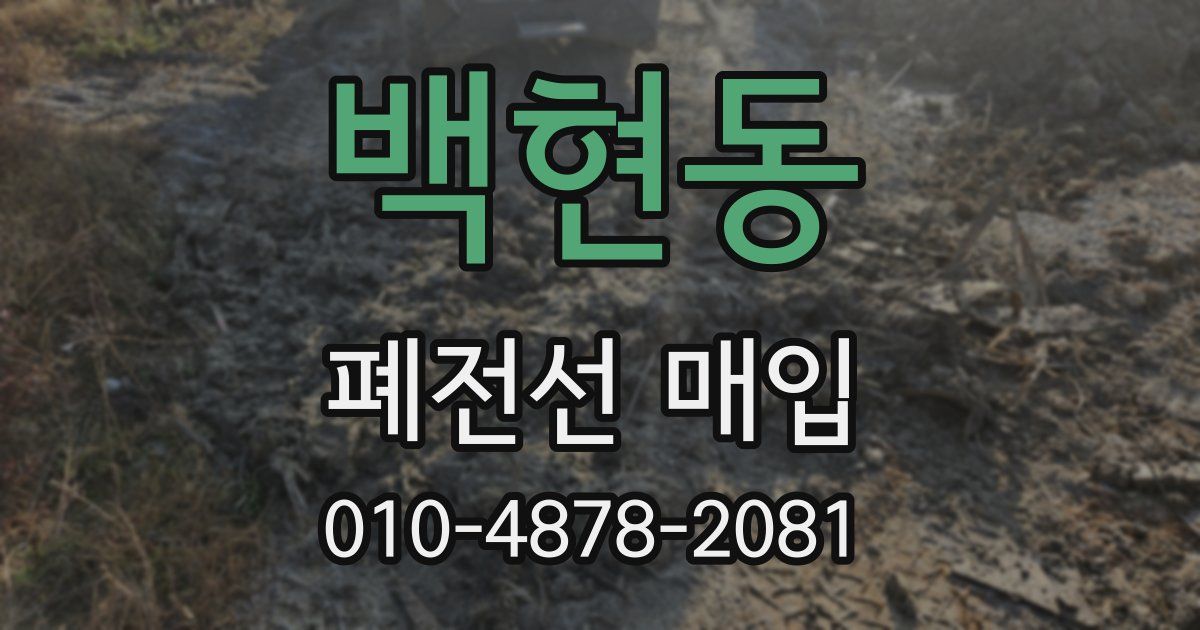 백현동 폐전선 매입