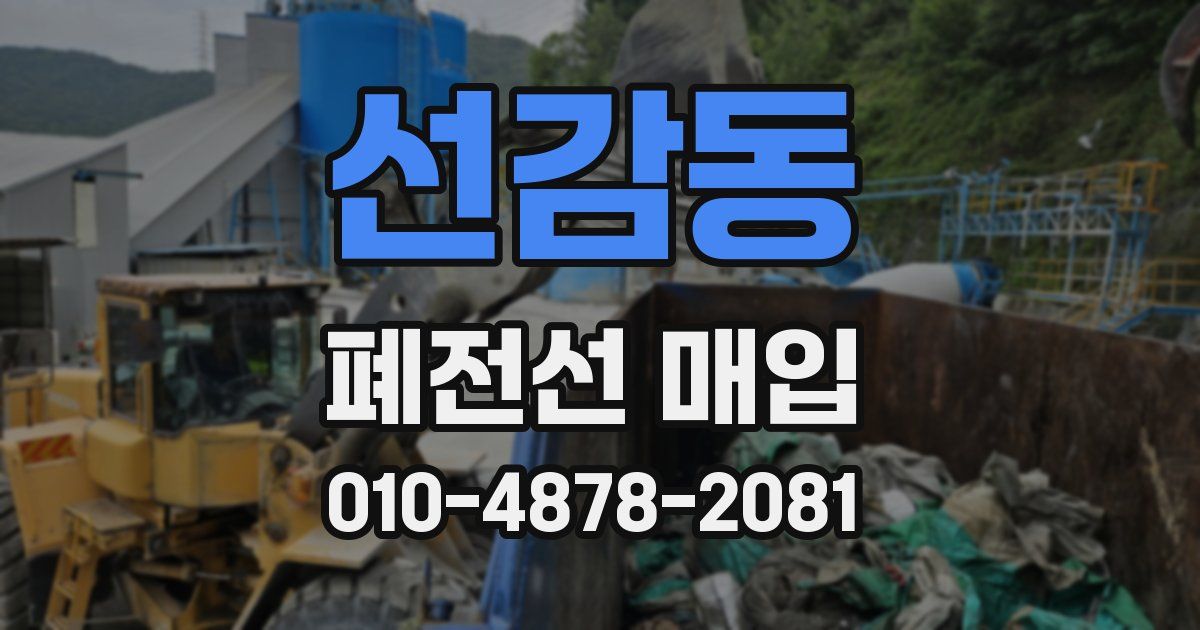 선감동 폐전선 매입
