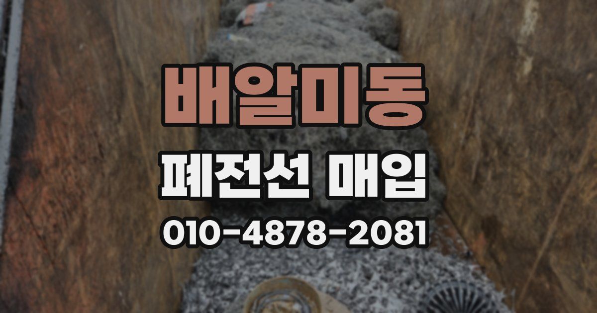 배알미동 폐전선 매입