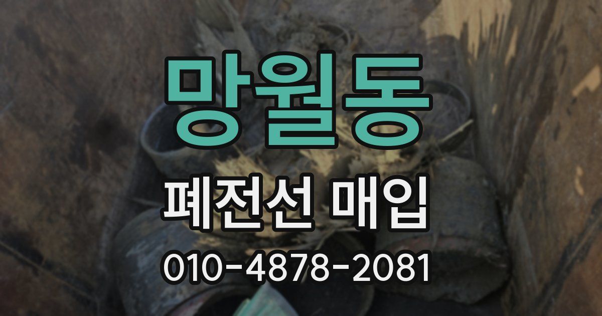 망월동 폐전선 매입