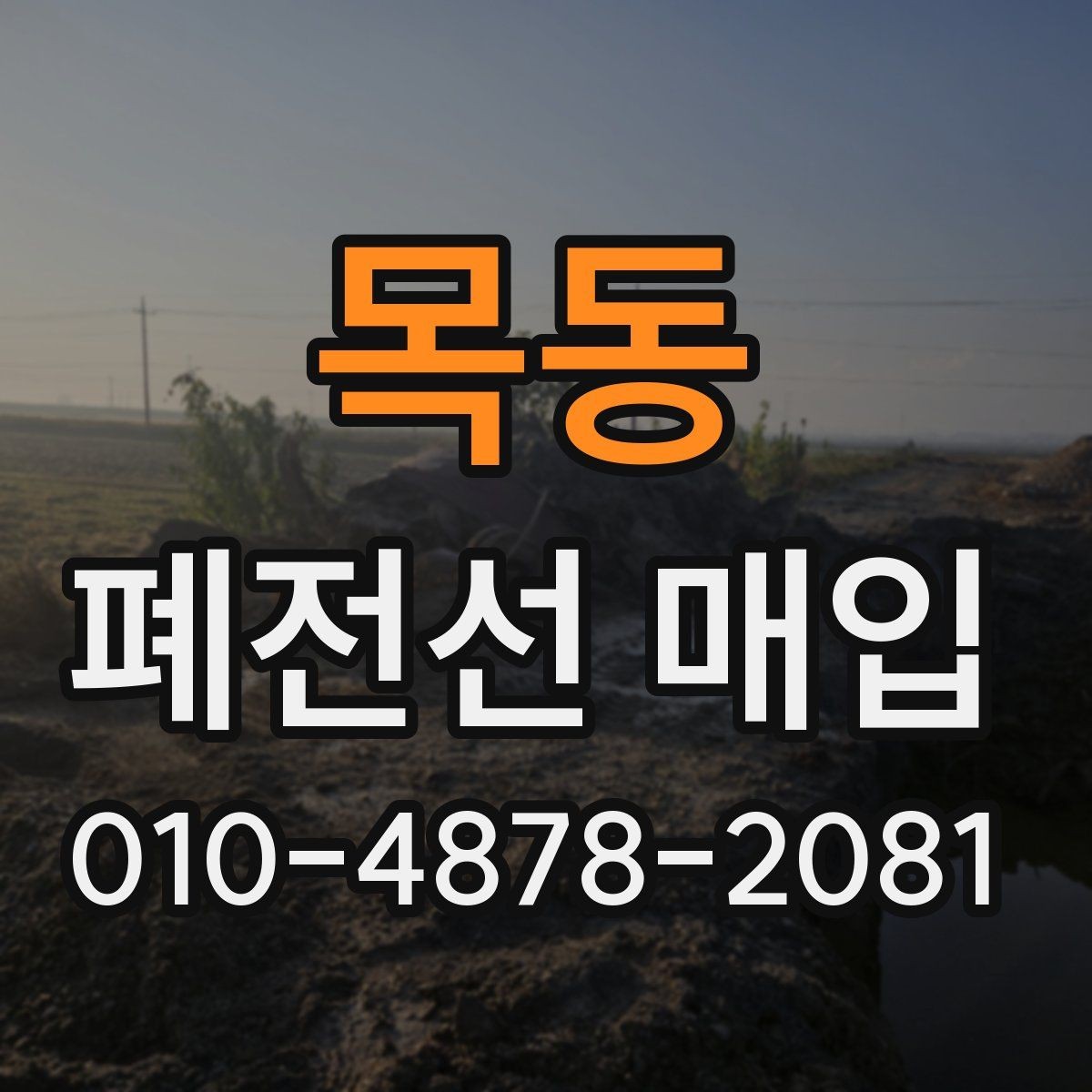 목동 폐전선 매입 현장에서 확인하는 분리 작업 기준