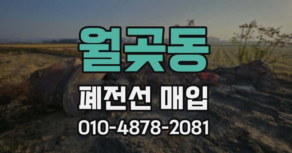 월곶동 폐전선 매입