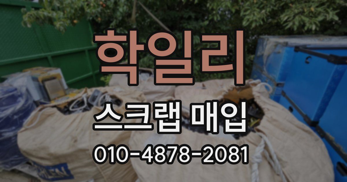 학일리 스크랩 매입
