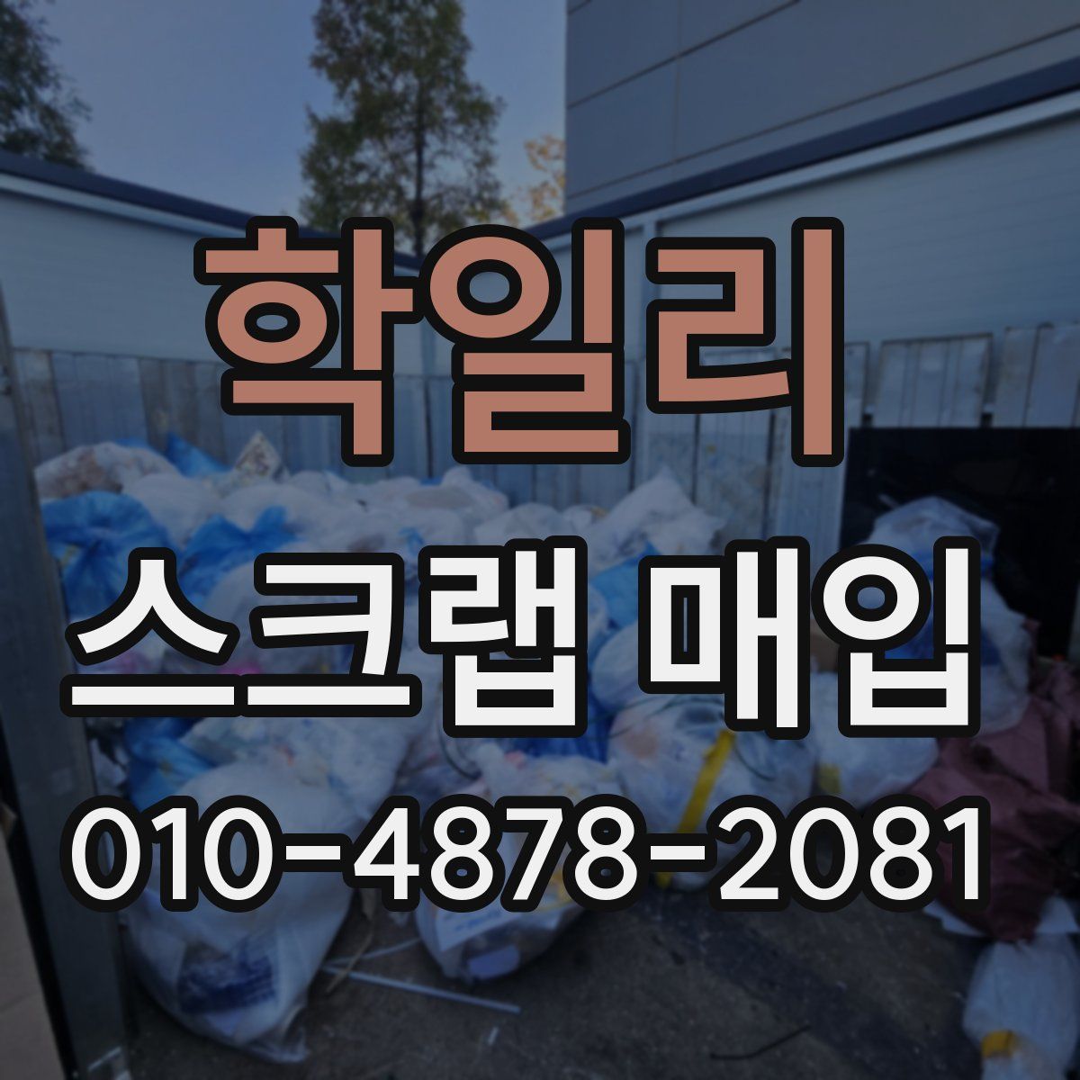 학일리 스크랩 매입