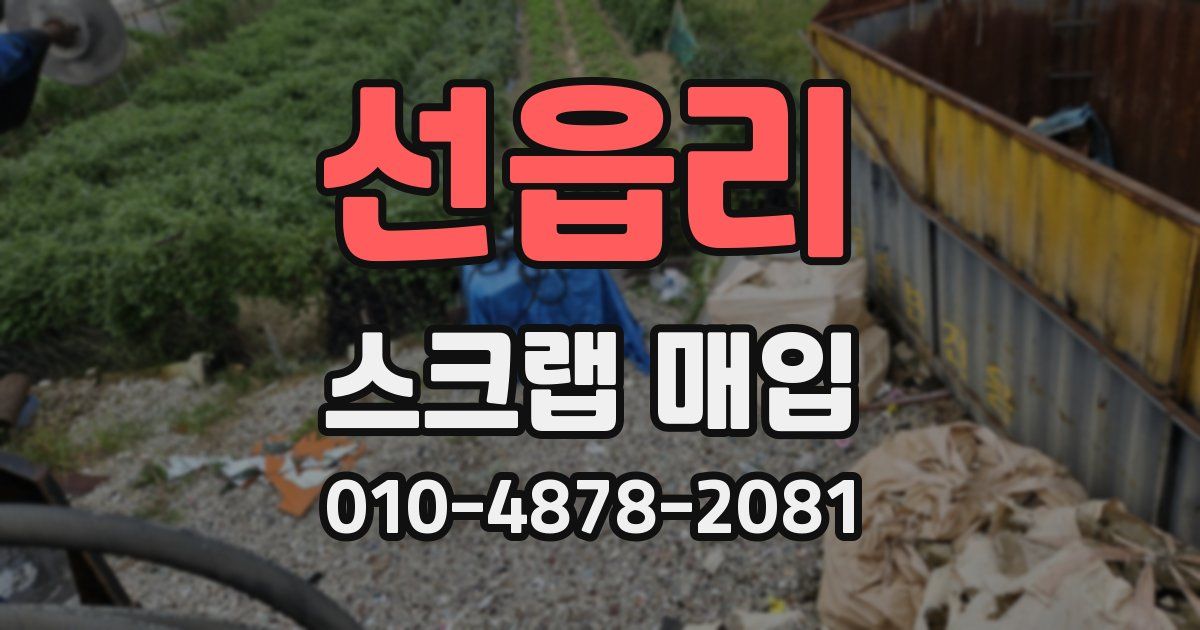 선읍리 스크랩 매입