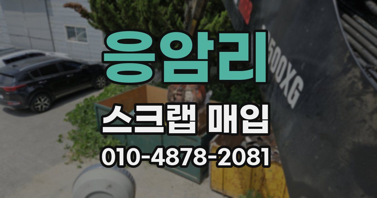 응암리 스크랩 매입