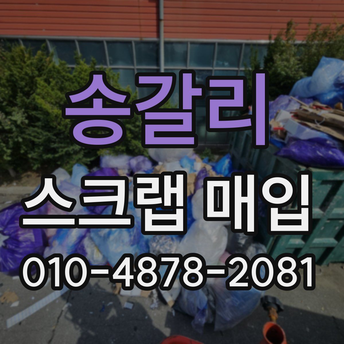 송갈리 스크랩 매입