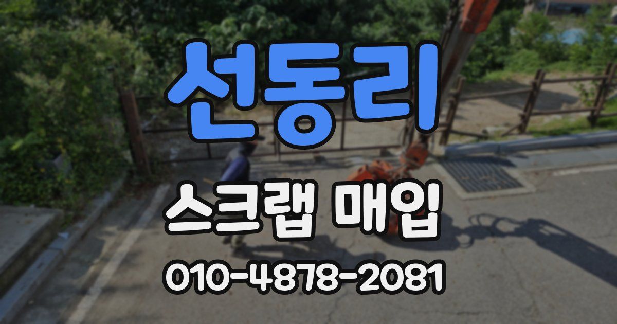 선동리 스크랩 매입