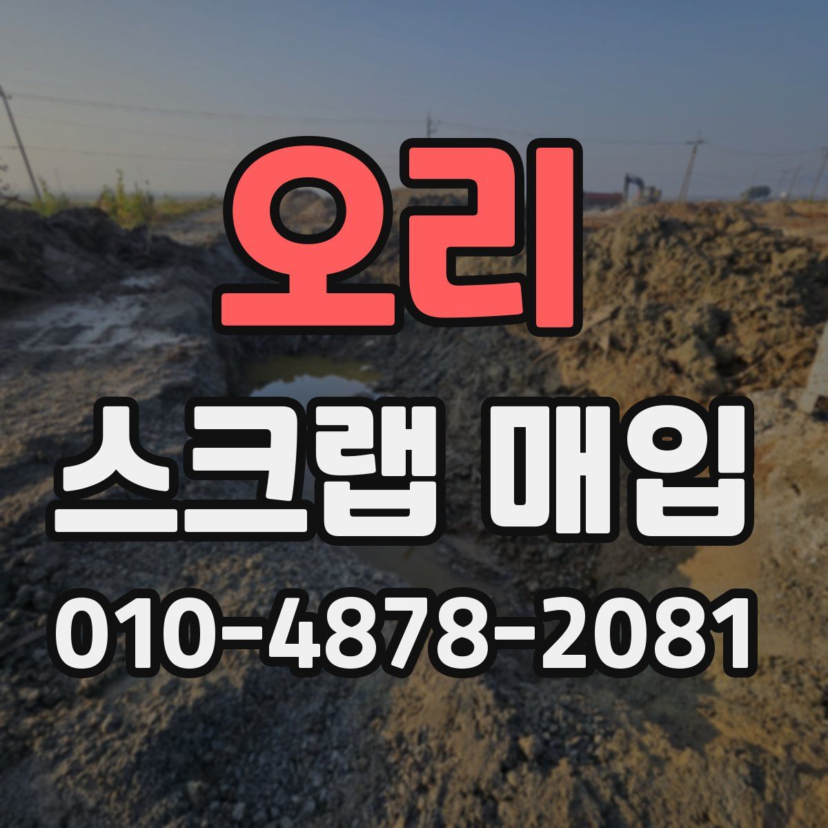 오리 스크랩 매입