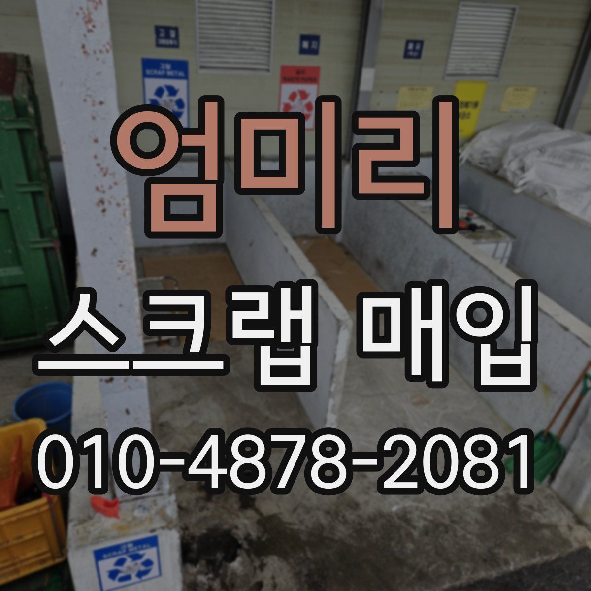 엄미리 스크랩 매입