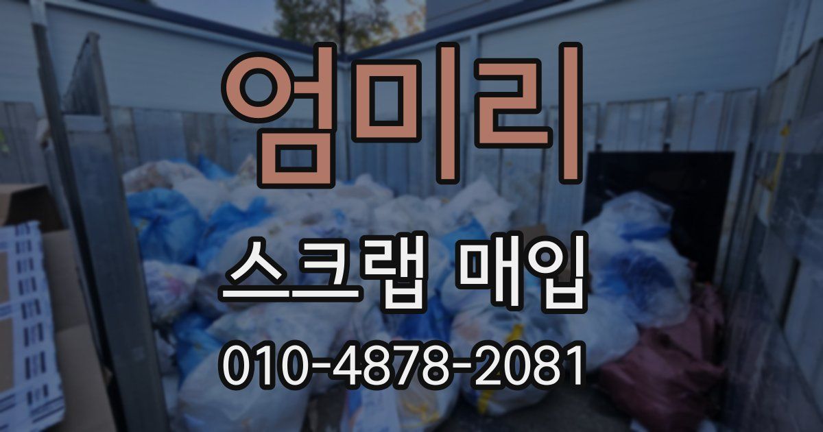 엄미리 스크랩 매입
