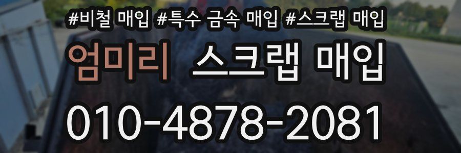 엄미리 스크랩 매입