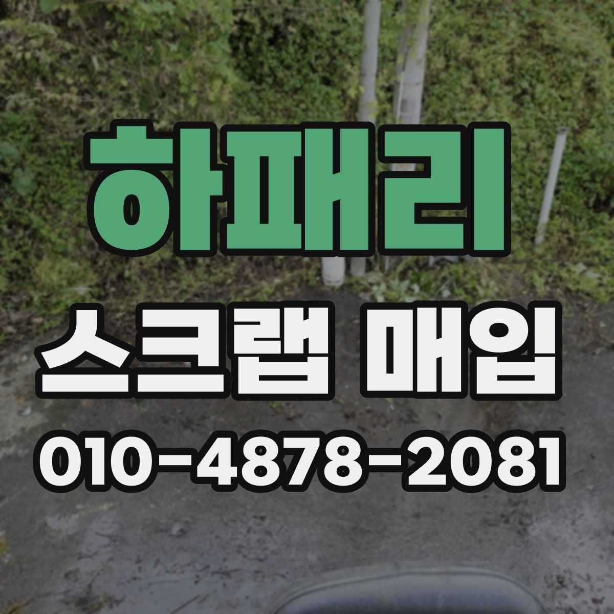 하패리 스크랩 매입