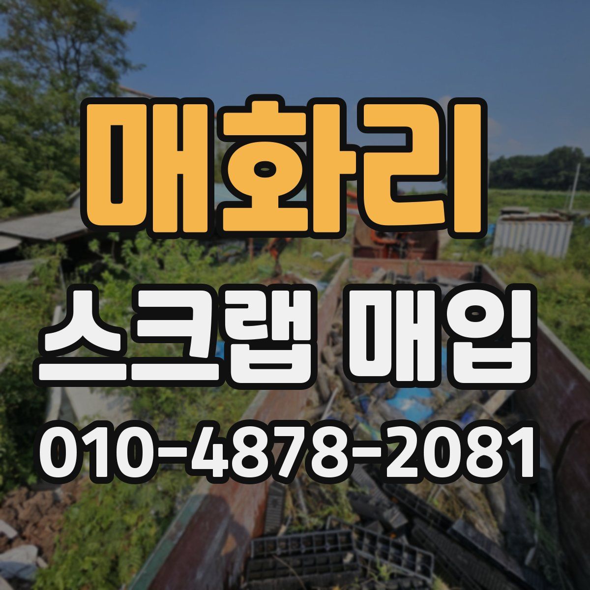 매화리 스크랩 매입