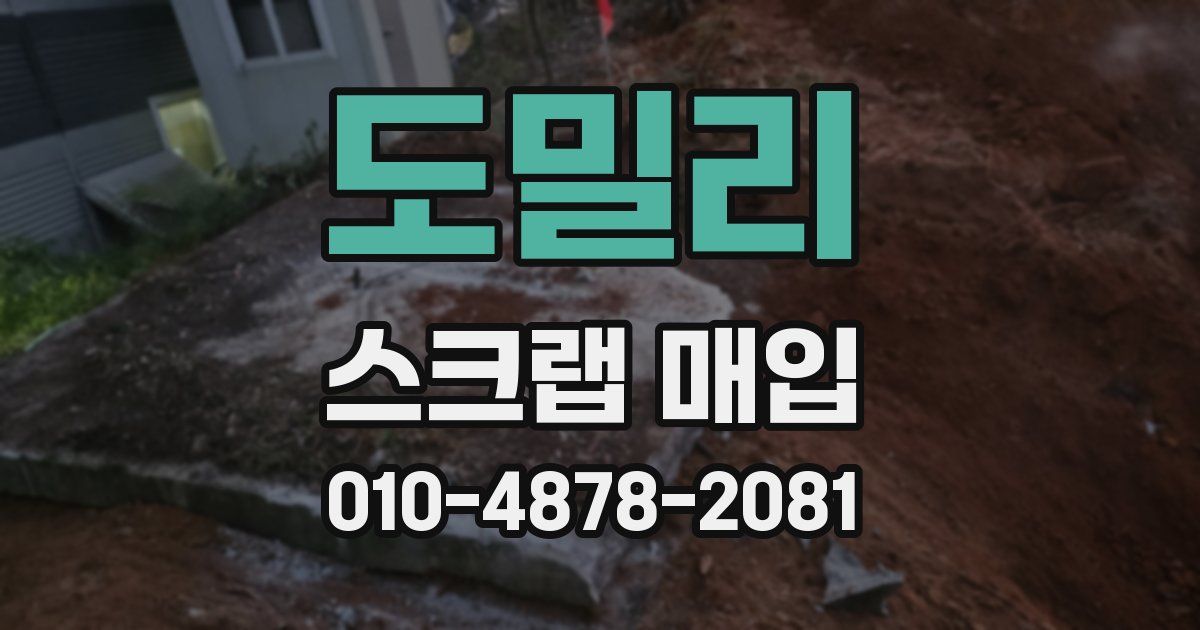 도밀리 스크랩 매입