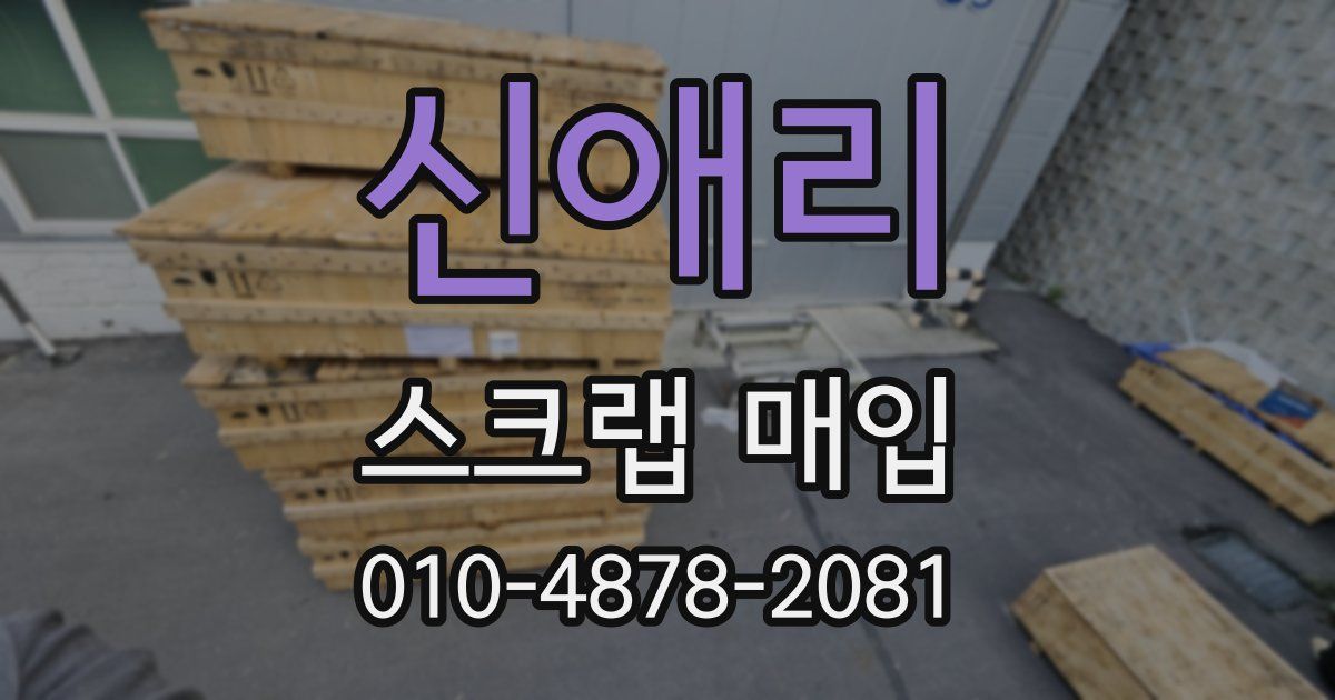 신애리 스크랩 매입