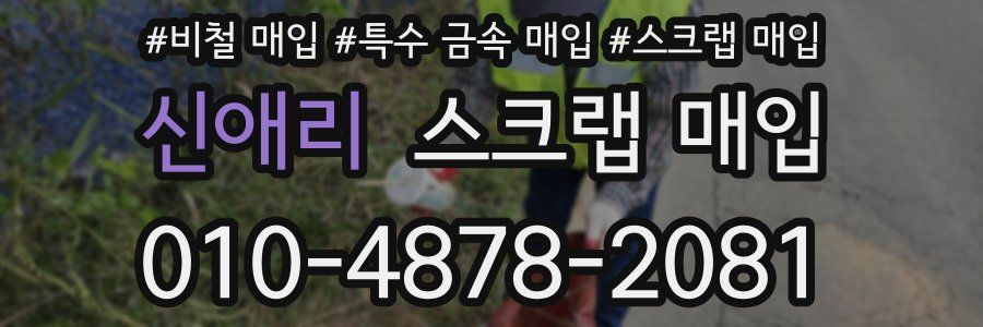 신애리 스크랩 매입