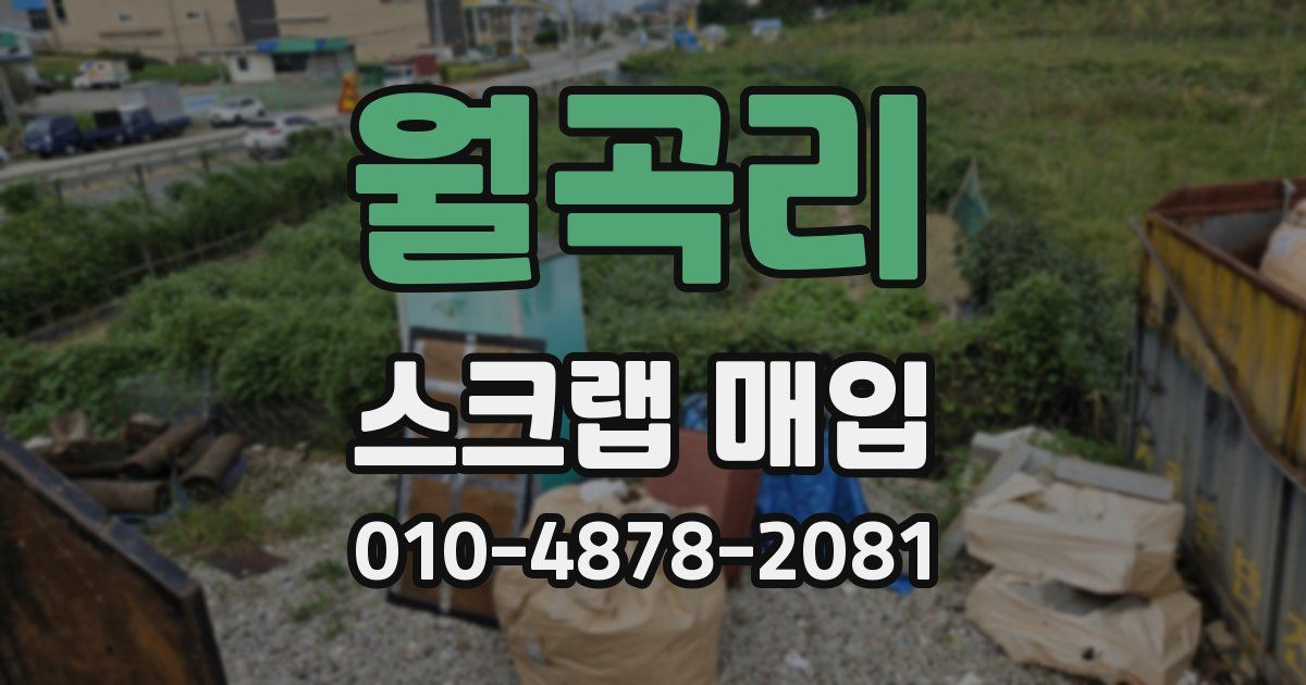 월곡리 스크랩 매입