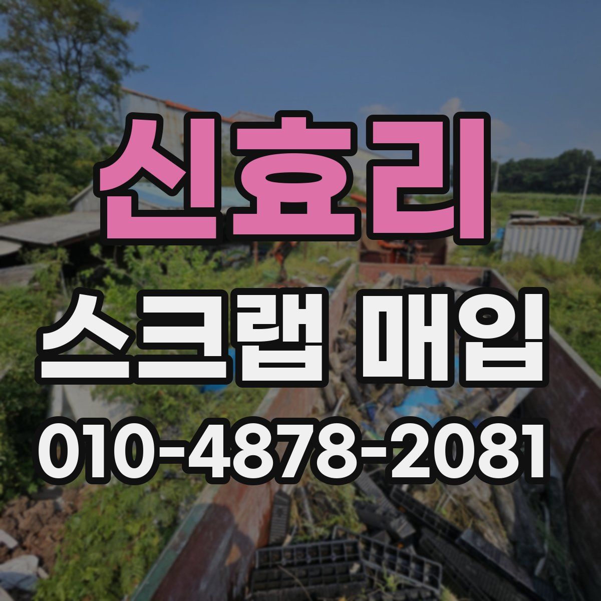신효리 스크랩 매입