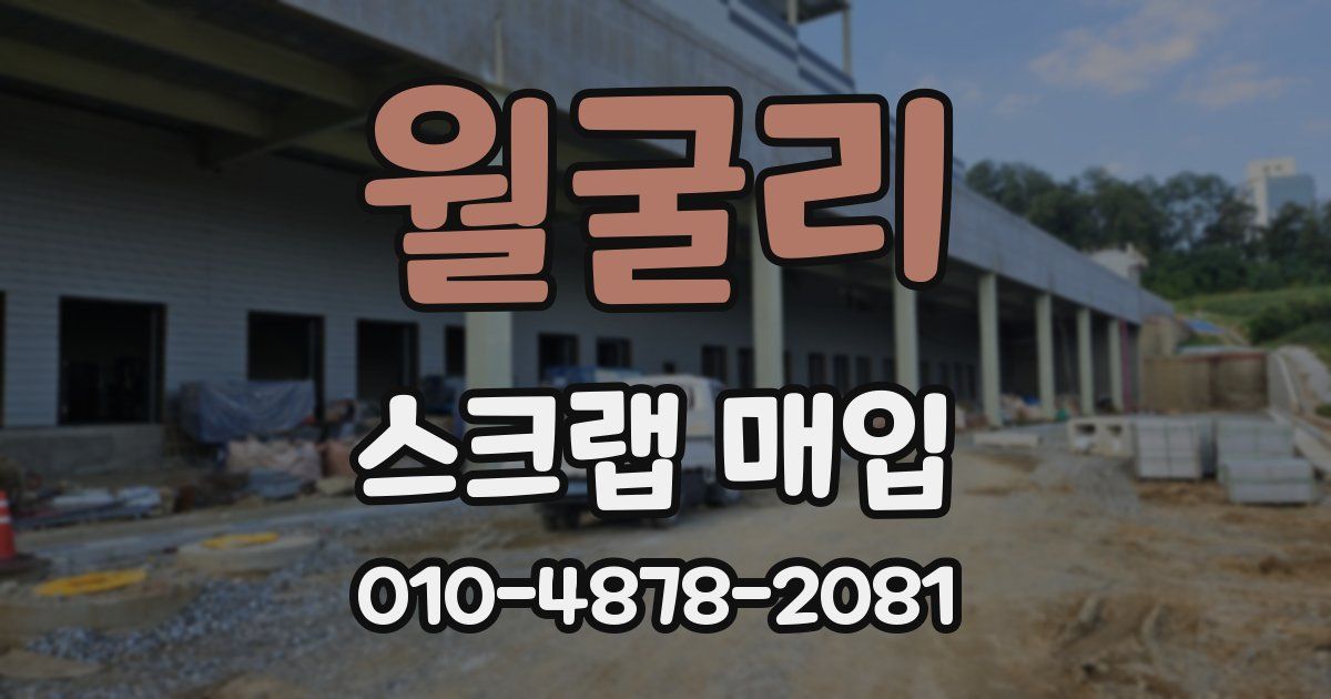 월굴리 스크랩 매입
