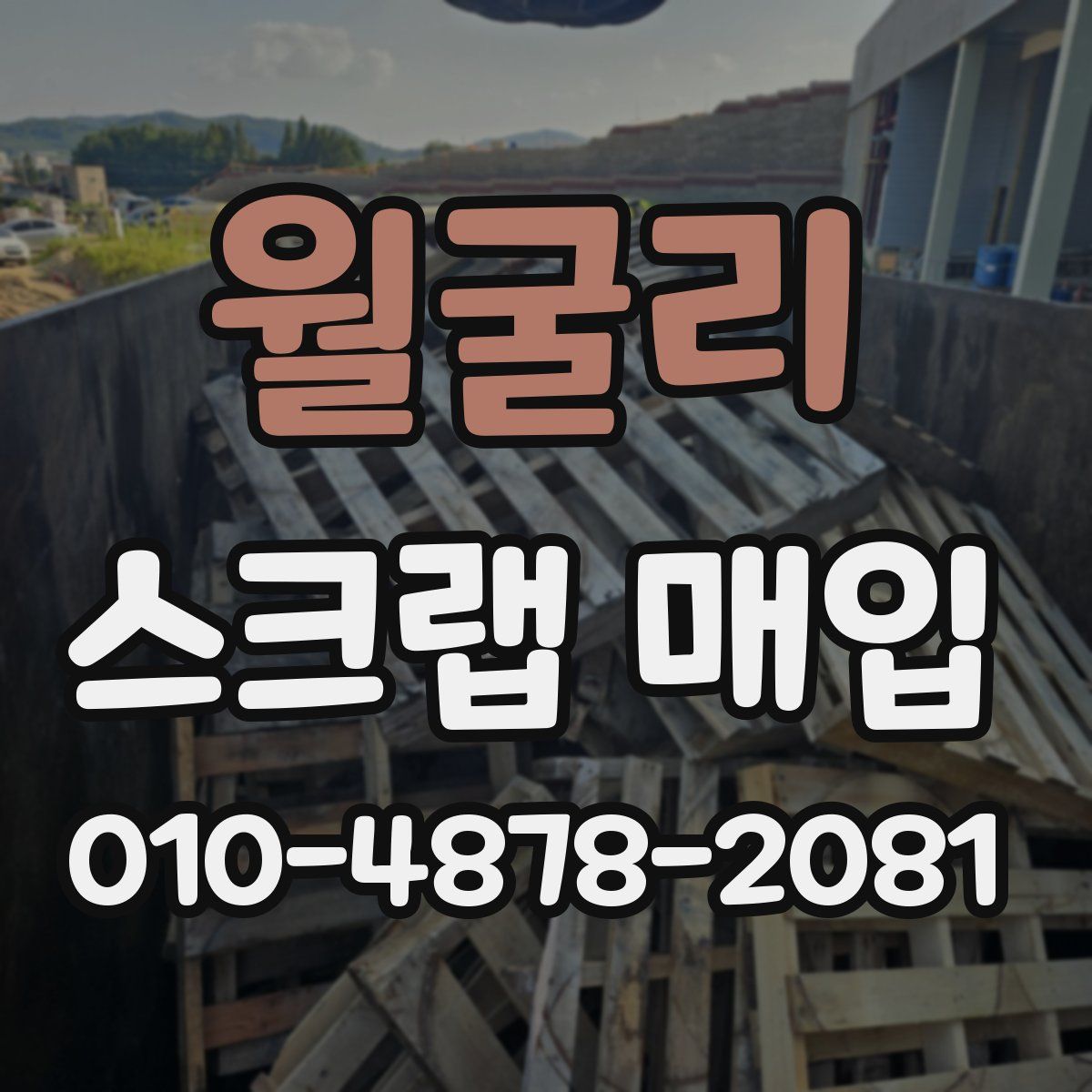 월굴리 스크랩 매입