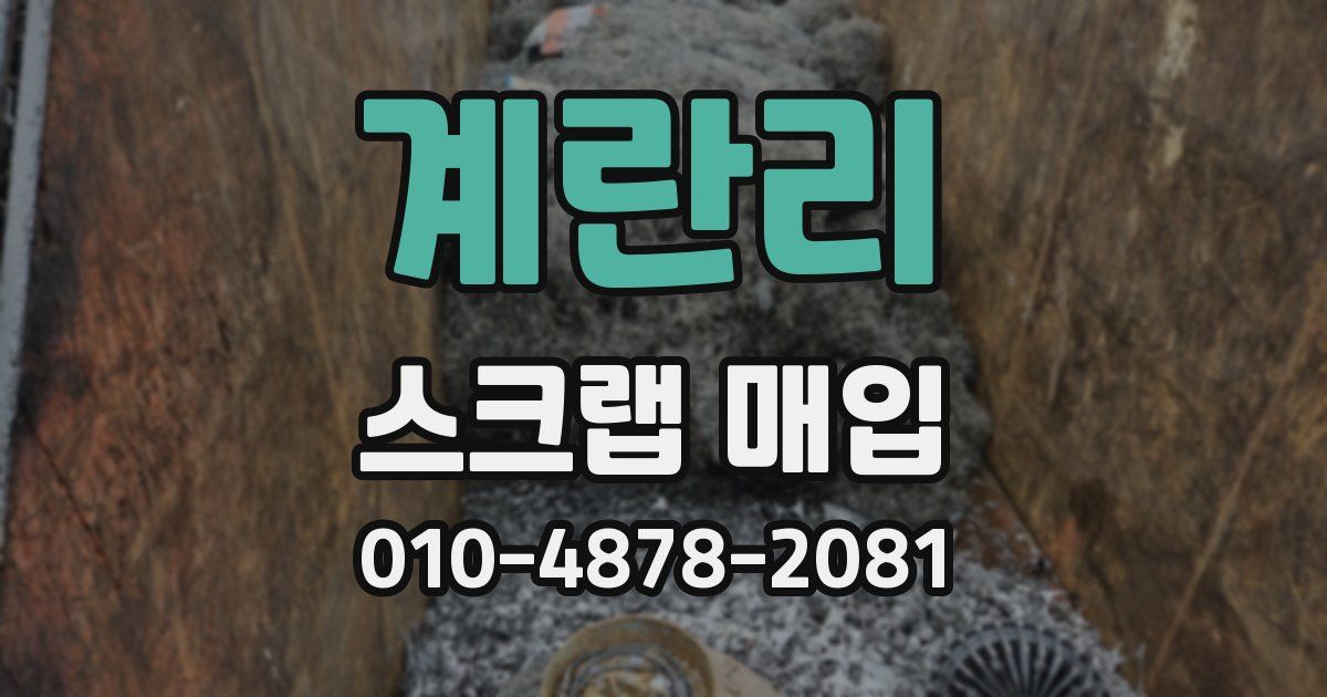 계란리 스크랩 매입