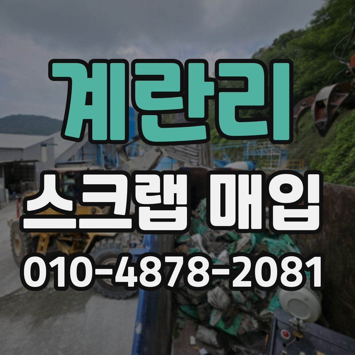 계란리 스크랩 매입