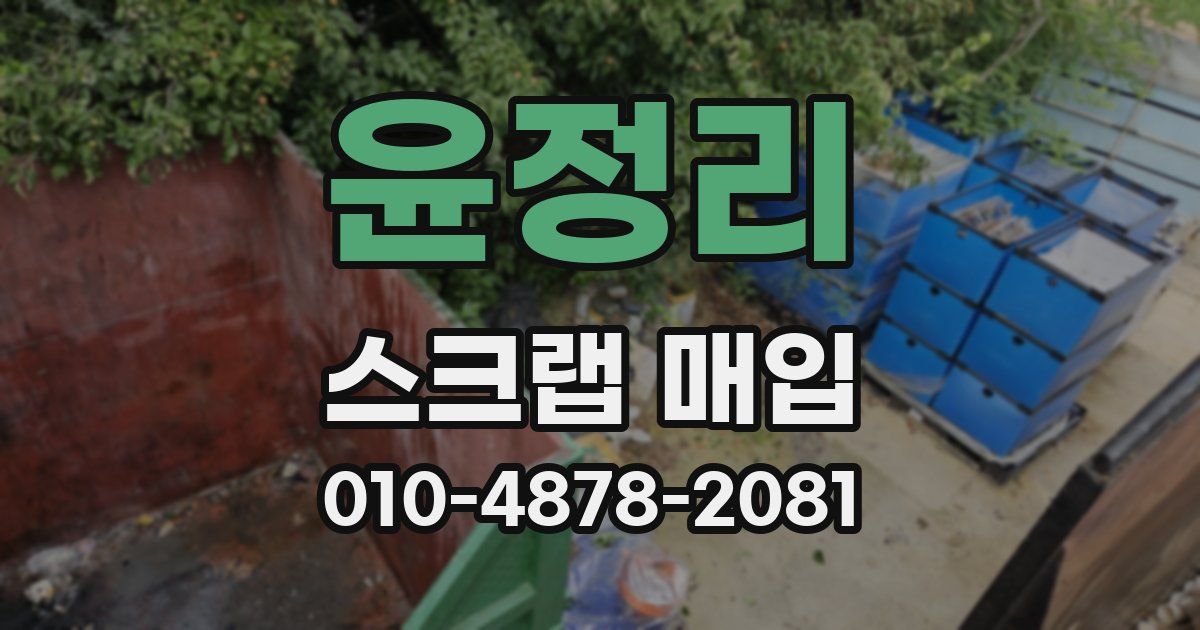 윤정리 스크랩 매입
