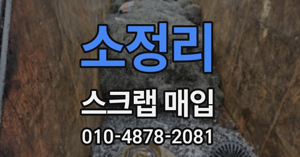 소정리 스크랩 매입