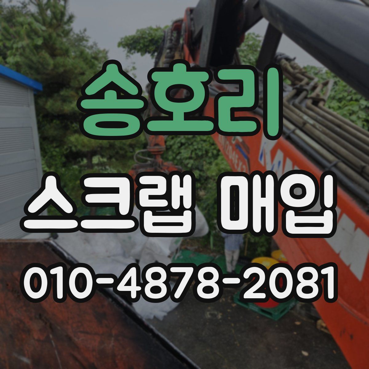 송호리 스크랩 매입