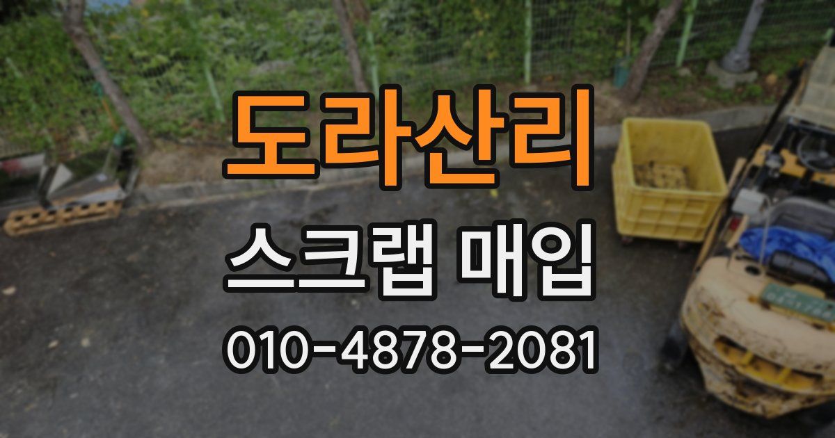 도라산리 스크랩 매입