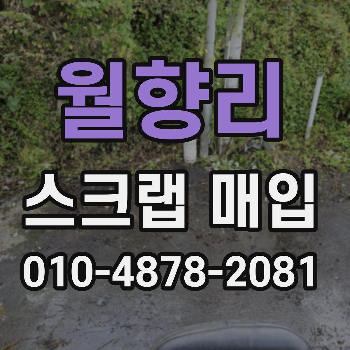 월향리 스크랩 매입