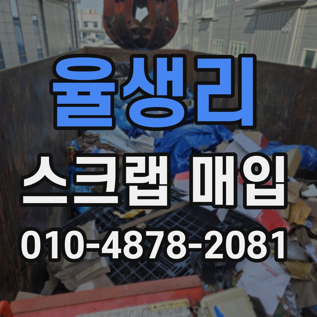 율생리 스크랩 매입