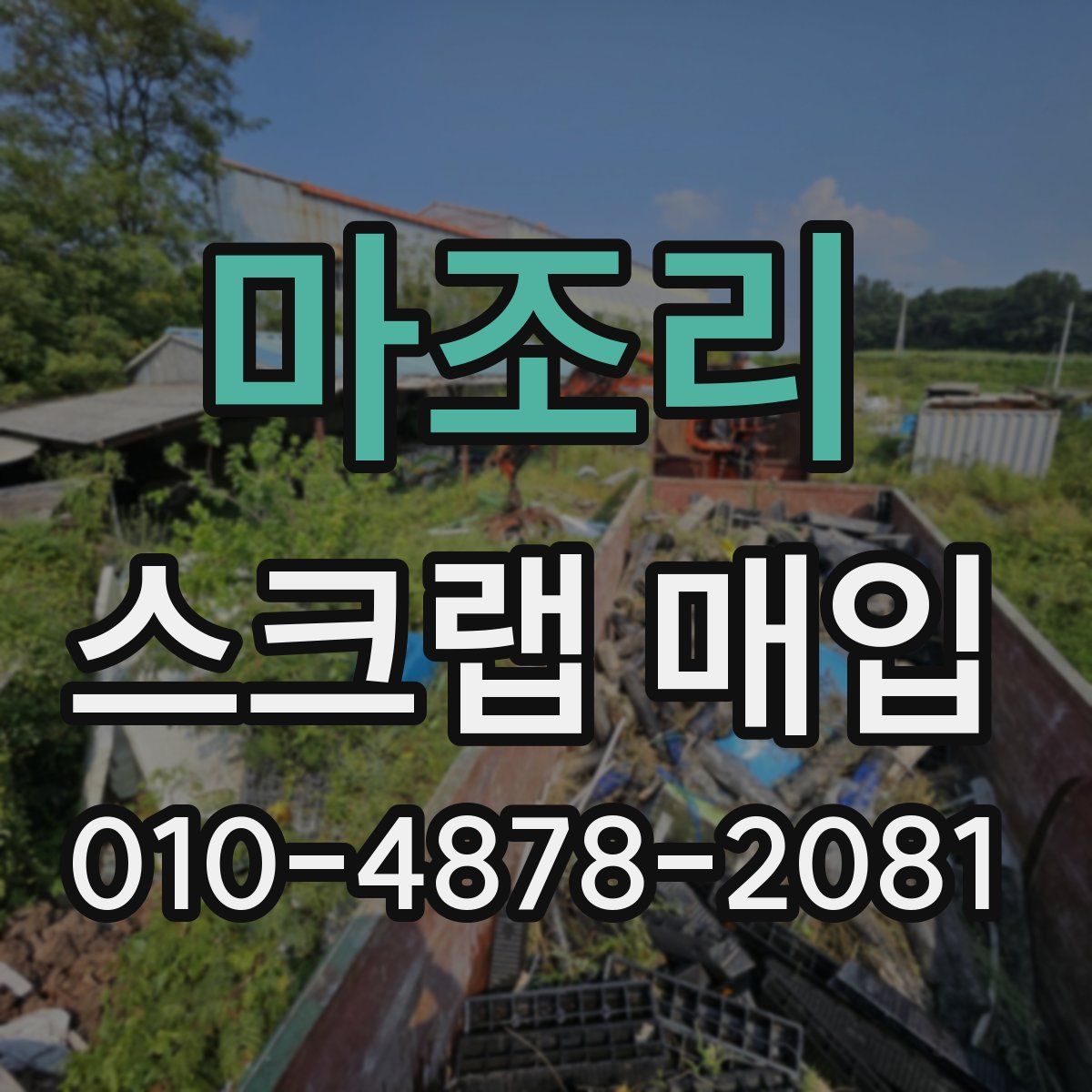 마조리 스크랩 매입
