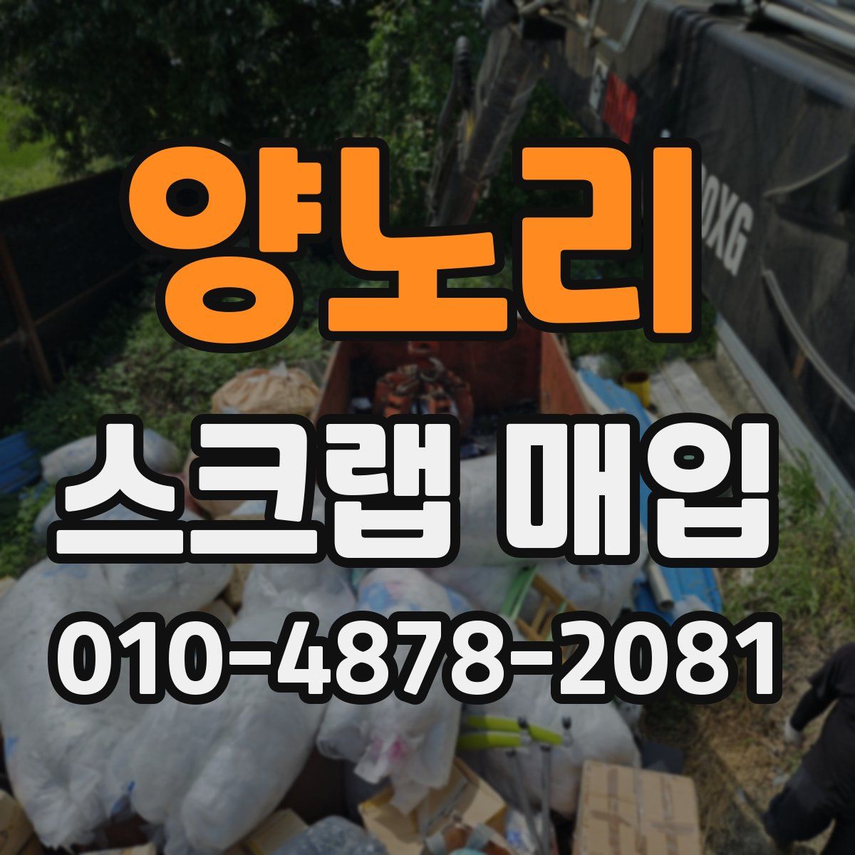 양노리 스크랩 매입