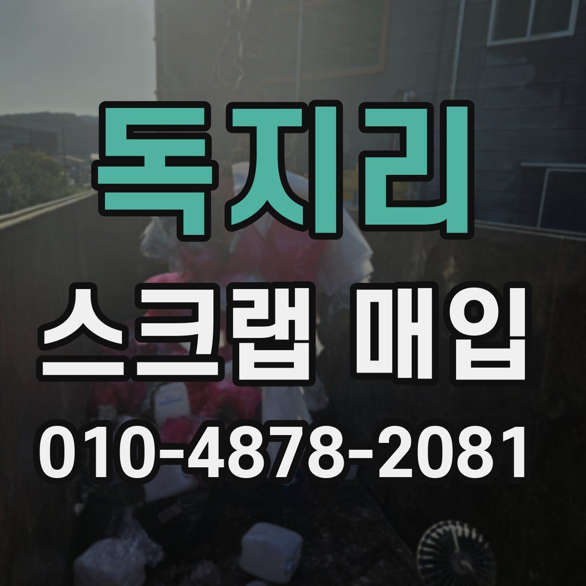 독지리 스크랩 매입