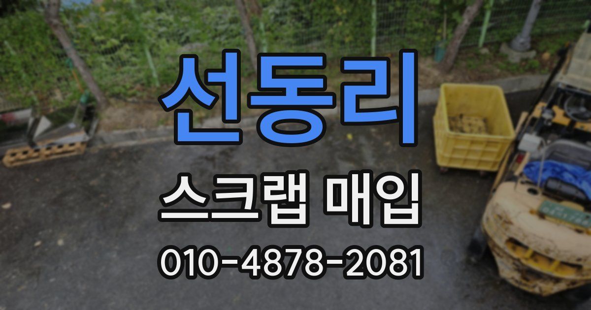 선동리 스크랩 매입