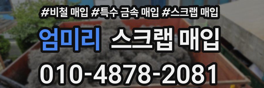 엄미리 스크랩 매입