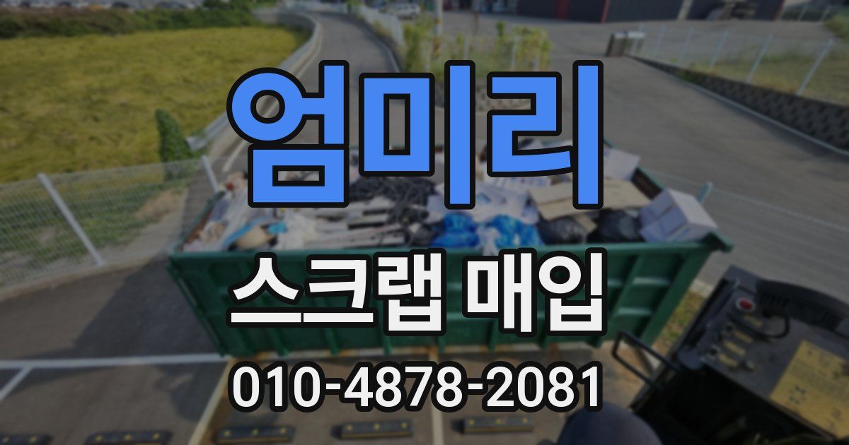 엄미리 스크랩 매입