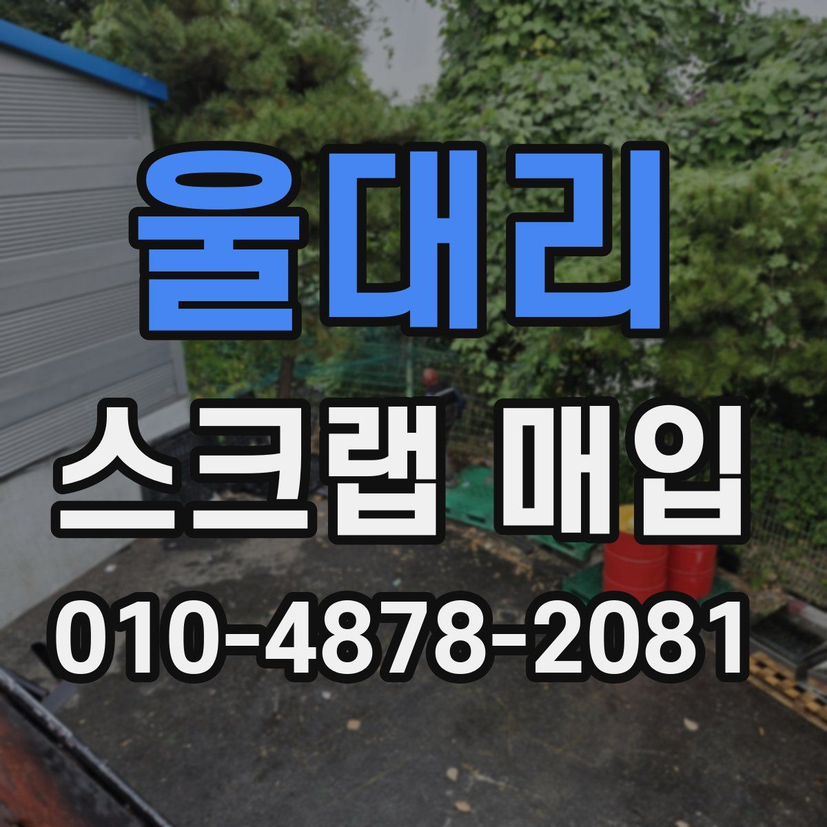 울대리 스크랩 매입