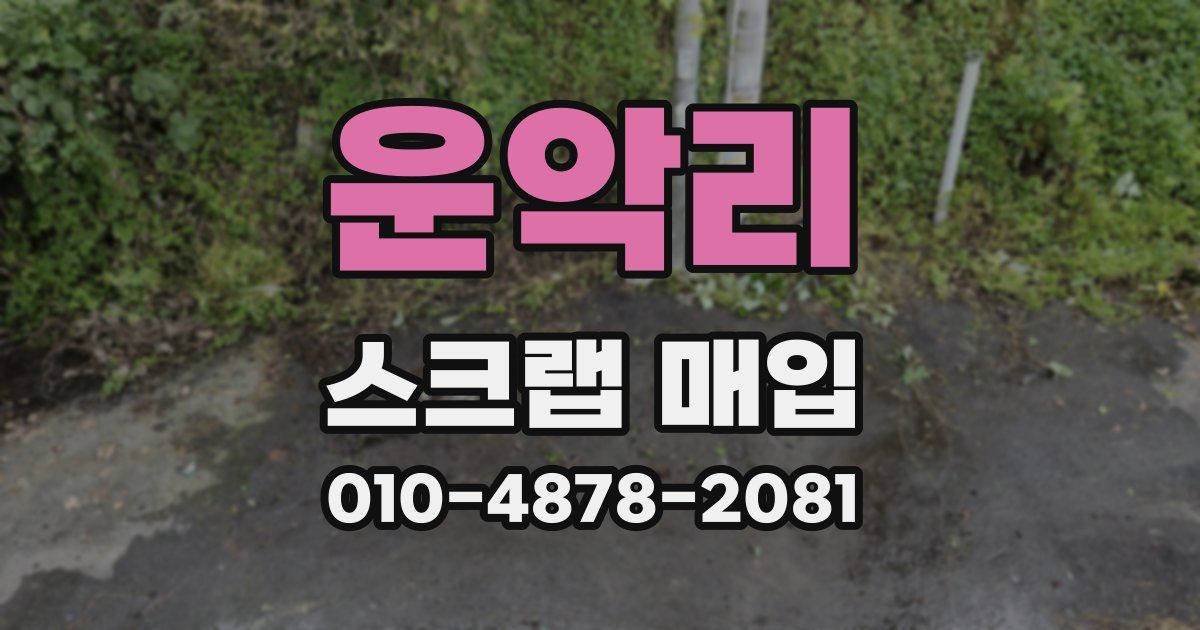 운악리 스크랩 매입