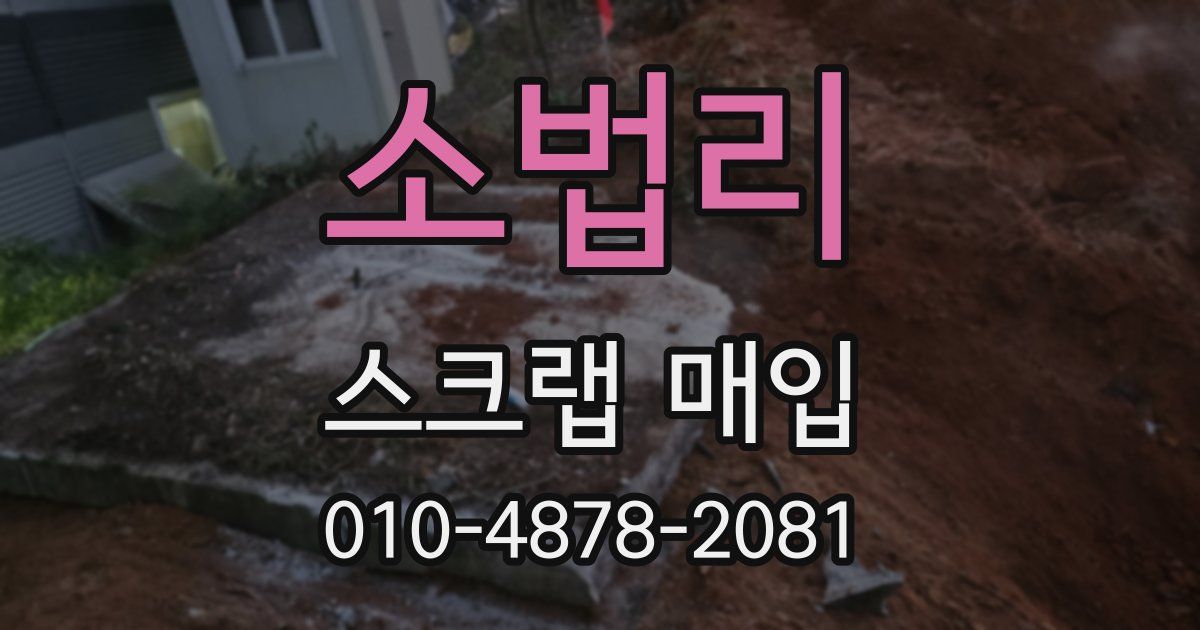 소법리 스크랩 매입