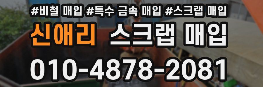 신애리 스크랩 매입