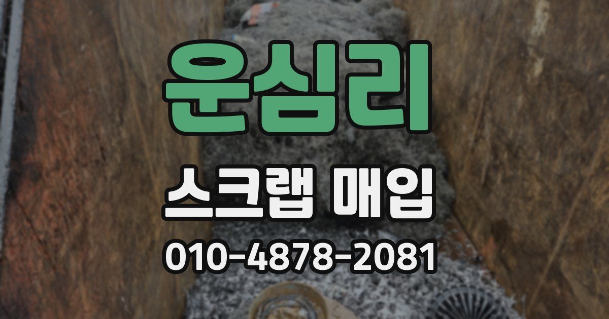 운심리 스크랩 매입