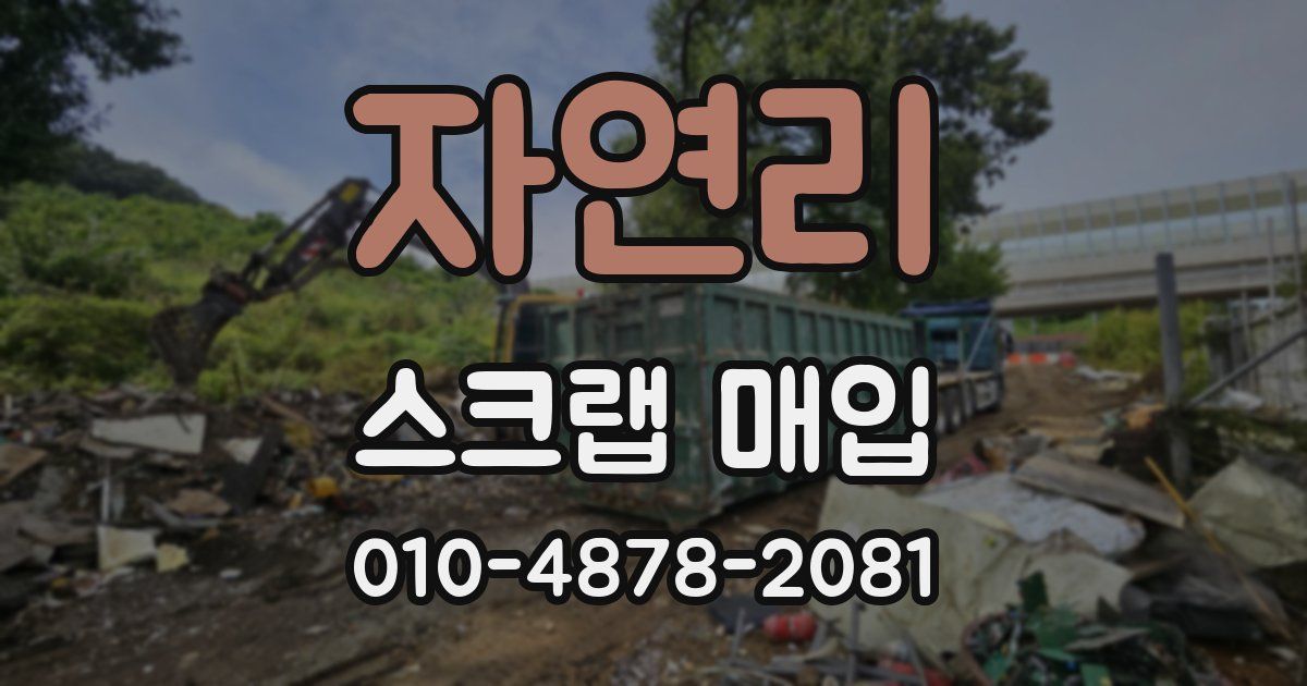 자연리 스크랩 매입